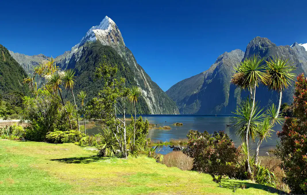 Fjords, glacial peaks, and alpine lakes in New Zealand — South Island nature and honeymoons with Elise Travel, Nashville travel agent